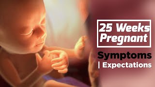 25 Weeks Pregnant Baby Position | Pregnancy Diet For Fair And Healthy Baby