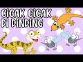 LAGU ANAK CICAK DI DINDING🦎🦎💫LAGU ANAK INDONESIA❤️🦎✨LAGU ANAK TERPOPULER CICAK MERAYAP💞🦎❣️