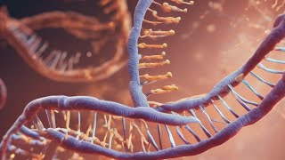 Restriction Enzyme Cloning Tutorial | Step-by-Step Guide to Molecular Cloning Simulation