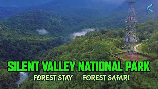 ചീവീടുകൾ ഉള്ള സൈലന്റ്‌വാലി ദേശീയോദ്യാനം |  Silent Valley National Park | Forest Safari | Forest Stay