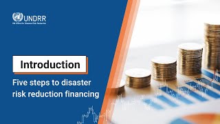 Introduction: UNDRR's approach to DRR Financing | UNDRR