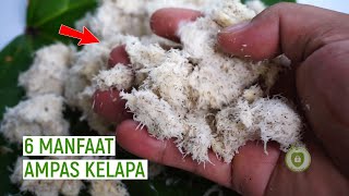 Jangan Dibuang! 6 Manfaat Ampas Kelapa