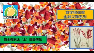 芒向歷史報,貪字得個貧-金融災難系列(3)，鬱金香泡沫(上)擊鼓傳花