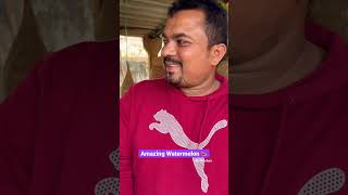 Amazing 🤩 Watermelon 🍉 Cutting 🥰 Lifehacks #shorts #ytshorts