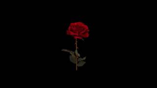 LANY - 4 Stripped Version. ILYSB, Super Far, I Dont Wanna Love You Anymore, Thru These Tears