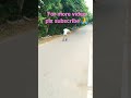 Skating near Station road#viral #skating #youtubeshorts