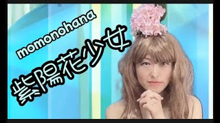 momonohana/桃乃花-紫陽花少女(Music Video)