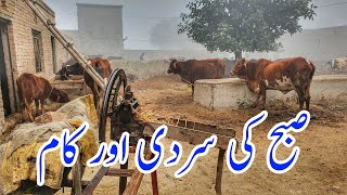 Early MORNING Routine In Winter | BEAUTIFUL Village Life In Pakistan