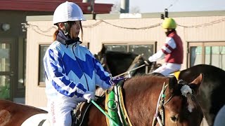 ばんえい競馬、新人３騎手がデビュー戦　帯広