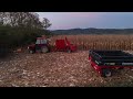 corn harvest sip tornado 40 and zetor 3320