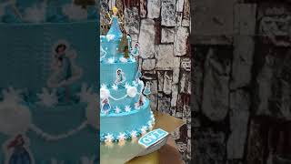 Frozen theme cake 4th layer cake design