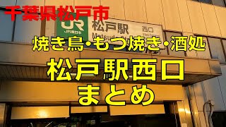 【松戸駅西口まとめ】焼き鳥・もつ焼き・やきとん・酒処のまとめ動画。松戸酒場 / かがやす / 神鶏 / 暖 / 大都会【やきとりナビ EP276】