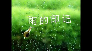 原创歌曲《雨的印记》