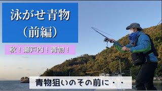 泳がせ青物（前編）2020年10月 秋！瀬戸内海！青物！　青物狙いのその前に・・