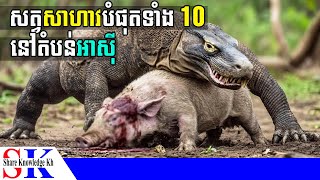 សត្វបង្កគ្រោះថ្នាក់បំផុត 10 ប្រភេទ នៅតំបន់អាស៊ី