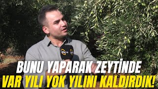 Bunu Yaparak Zeytinde Var Yılı Yok Yılını Kaldırdık!