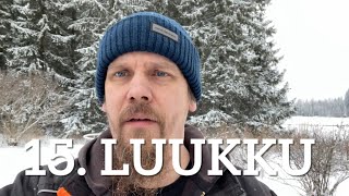 Joulukalenteri | Luukku 15