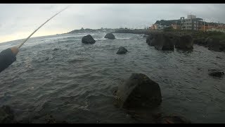 六塊厝漁港、北海岸-石門 釣況分享 2019 0329 [嘟嘟釣魚狂#18]