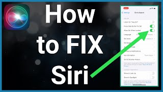 How To Fix Siri Not Working On iPhone