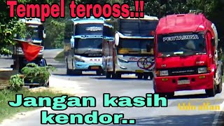 BUS NPM DITEMPEL TERUS OLEH BUS VIRAL 24 jam..!!