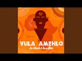 Vula Amehlo (Siar Guitar Edit)