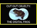 The Digital Frog