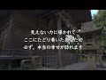 ⚠️もし逃したら二度とありません　早い人は1分後、本当の幸せが訪れます　見るだけであなたに次々と奇跡が起こり始めます　【粟嶋神社】神の宿る森　※4k hdr