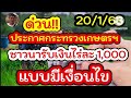 ด่วน ประกาศกระทรวงเกษตรฯ ชาวนารับเงินไร่ละ 1 000 แบบมีเงื่อนไข