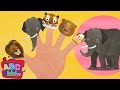 Finger Family - Animals | CoCoMelon Nursery Rhymes & Kids Songs