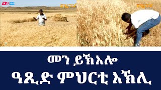 ዓጺድ ምህርቲ እኽሊ - መደብ መን ይኽእሎ |  natran men yikelo: Trying harvest gathering | ERi-TV