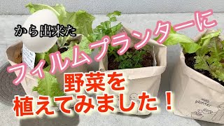 卵からできた、フィルムプランターに、野菜を植えてみました！