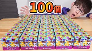 【全20種】100個チョコエッグ開けたら奇跡が起きた！まるでリアルどうぶつの森　シークレット2種　さとちん