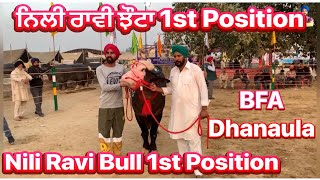 BFA dhanaula ਨਿਲੀ ਰਾਵੀ ਝੌਟਾ 1st Position. Dec 2022 . Gagan Sandhu Vlogs