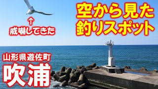 4K 吹浦漁港 / 空から見た釣りスポット