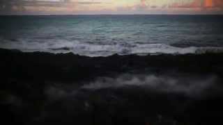 The Cinematic Orchestra - Arrival of the birds \u0026 Transformation.flv