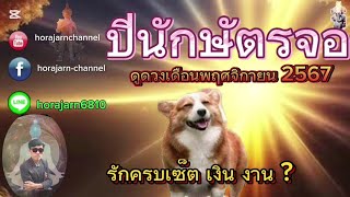 ดูดวง| ปีนักษัตรจอ |เดือนพฤศจิกายน 2567|รักครบเซ็ต เงิน งาน ?