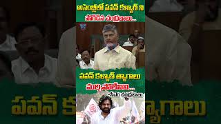 అసెంబ్లీ లో పవన్ కళ్యాణ్ ని పొగిడిన చంద్రబాబు..  | #cmchandrababu #deputycmpawankalyan