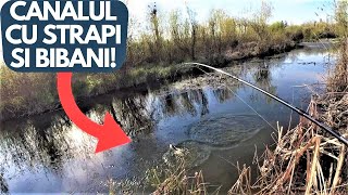 Am PESCUIT pe UN CANAL cu STRAPI si BIBANI in PROHIBITIE