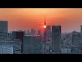 tokyo tower skewering sun 　東京タワーに夕日が突き刺さる！