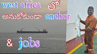 west africa లో anchor \u0026 jobs