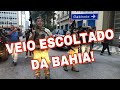 Veio da Bahia Escoltado! Bilionário Vinicius Gritzbach no DHPP em São Paulo