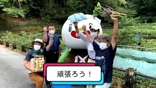 【伊豆市】しずおか市町対抗駅伝 応援動画