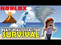 Roblox Natural Disaster Survival Gameplay