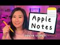 You're using Apple Notes WRONG! ✏️ Best tips & tricks 💕