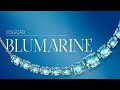 COLEÇÃO BLUMARINE | Lançamento Horizonte