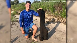 Friends find massive mammoth leg bone in Florida river