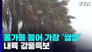 [날씨] 올가을 들어 가장 쌀쌀...내륙 강풍특보 / YTN