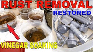 How to Remove Rust with Vinegar Baking Soda | Rusty Bolt Restore Tumbler Polish