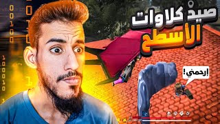 ياعمارك صيد كلاوات  فوق سطح البيكو بيكي 🔥