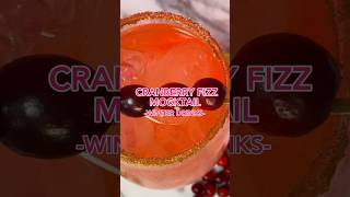 Cranberry Fizz Mocktail by The Ice Co